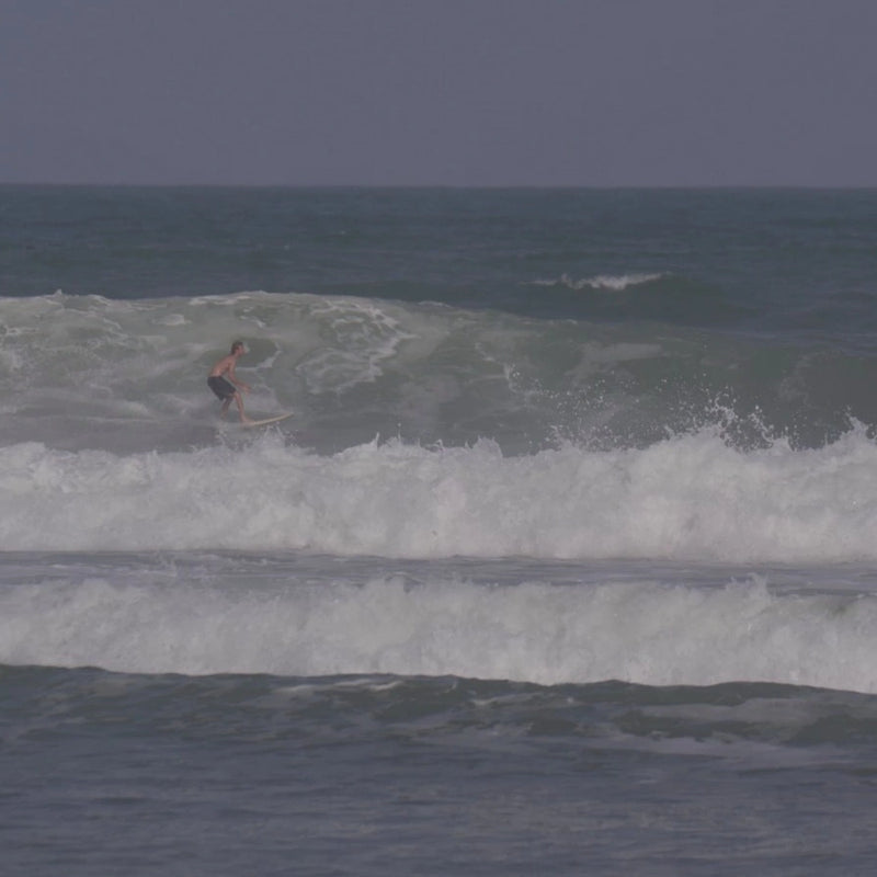 Surf Trips
