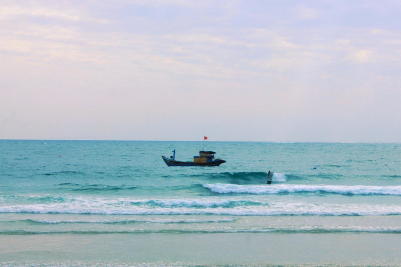 Surf Trips